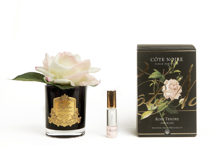Cote Noire Perfumed Natural Touch Single Rose 140mm | Pink Blush | Black Jar